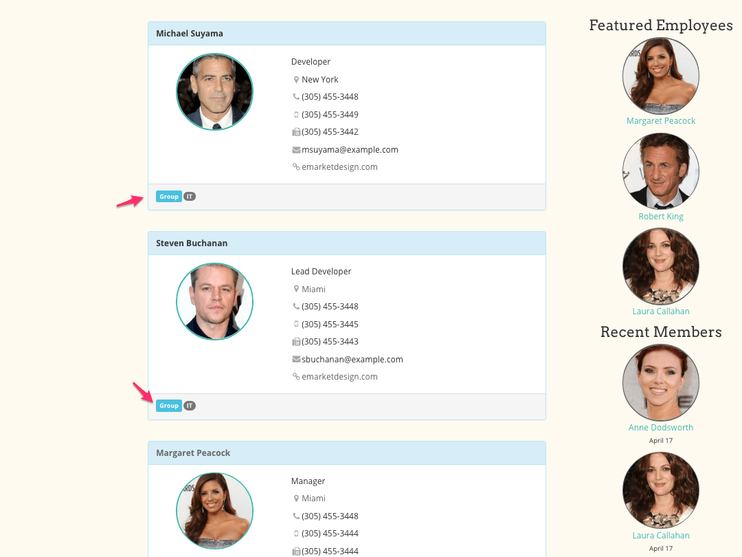 Employee Spotlight WordPress plugin - Categorize And Group Employees Employee Spotlight WordPress plugin - Categorize And Group Employees